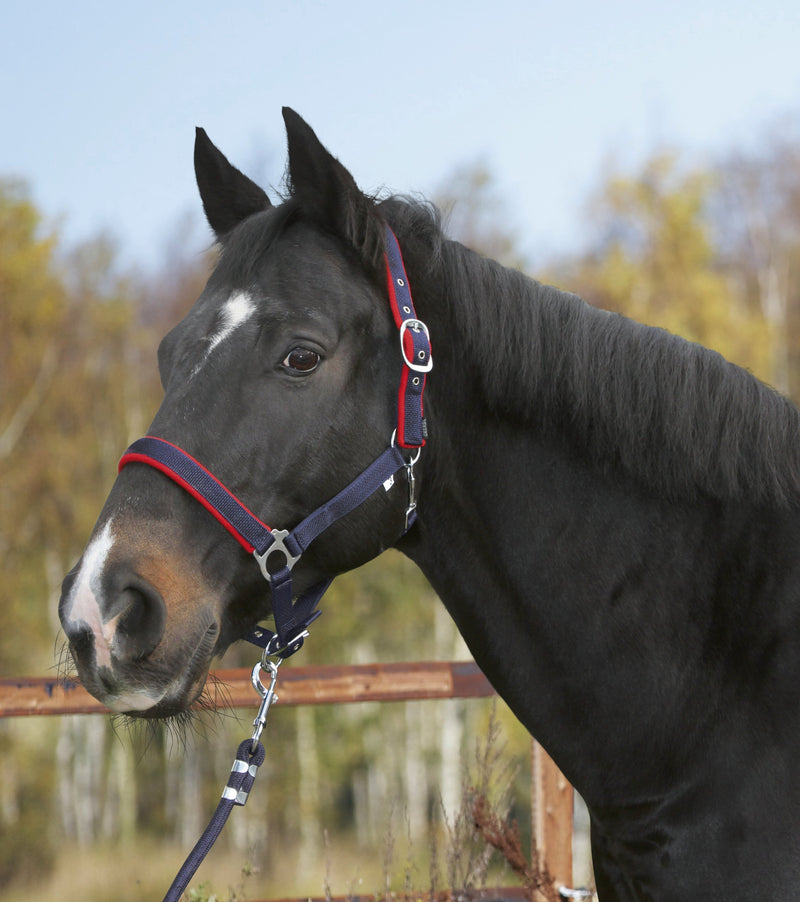 Kerbl Underlay Head Collar Dexter with Fleece Blue Size 2 - PawsPlanet Australia