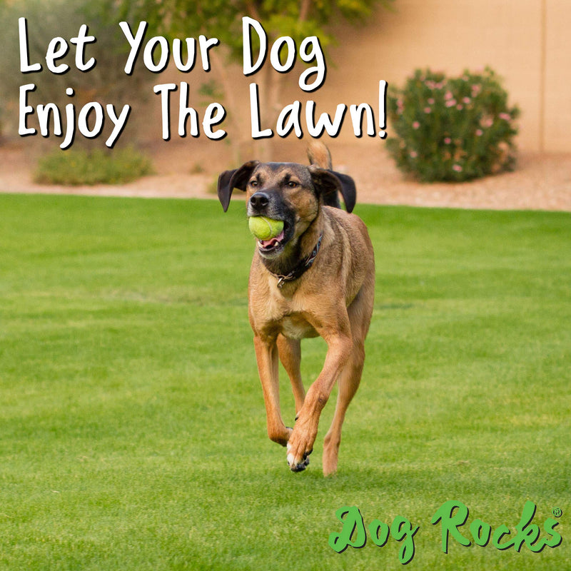 (2 Pack) Dog Rocks Prevent Grass Burn Marks, 4 Month Supply - PawsPlanet Australia