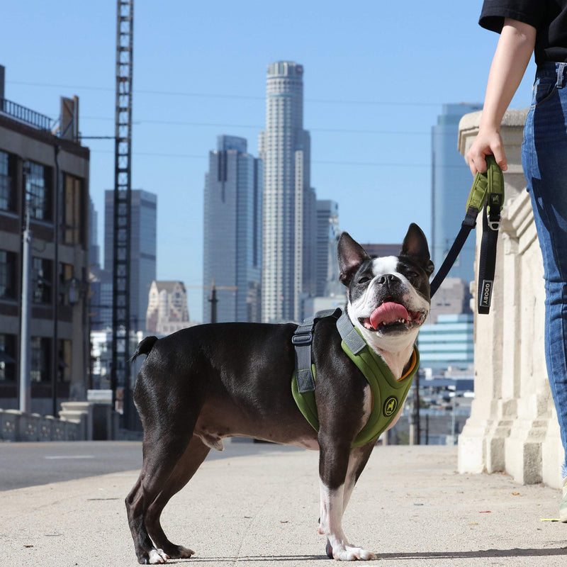 Gooby Convertible Dog Harness - Green, Large - Hybrid Step-In & Head-In Dog Harnesses for Small Dogs - Perfect on the Go Neoprene Dog Harness for Medium Dogs No Pull and Small Dog Harness Large Chest (46.5~50 cm) - PawsPlanet Australia