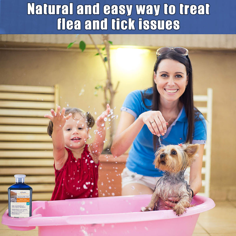 [Australia] - Arava Flea & Tick Control Dog & Puppy Shampoo, Pet Parasite Repellence & Prevention, Safe for Babies, Gently Scented Botanical Dead Sea Formula, 100% Natural Ingredients. 13.5 fl oz (2 Variations) 