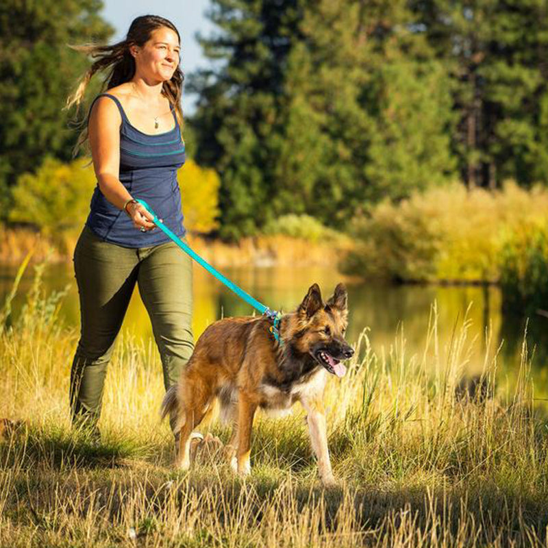 [Australia] - Ruffwear - Timberline Durable, Water-Resistant Leather Dog Leash One Size Wild Plum Purple 