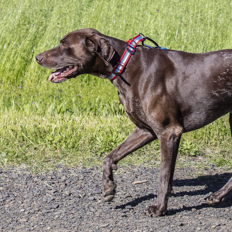 [Australia] - Kurgo Limited Slip Collar for Dogs, Martingale Style Collar, Active Dog Collar, Adjustable, Reflective Trim, Walk About Limited Slip Collar, Chili Red Small 