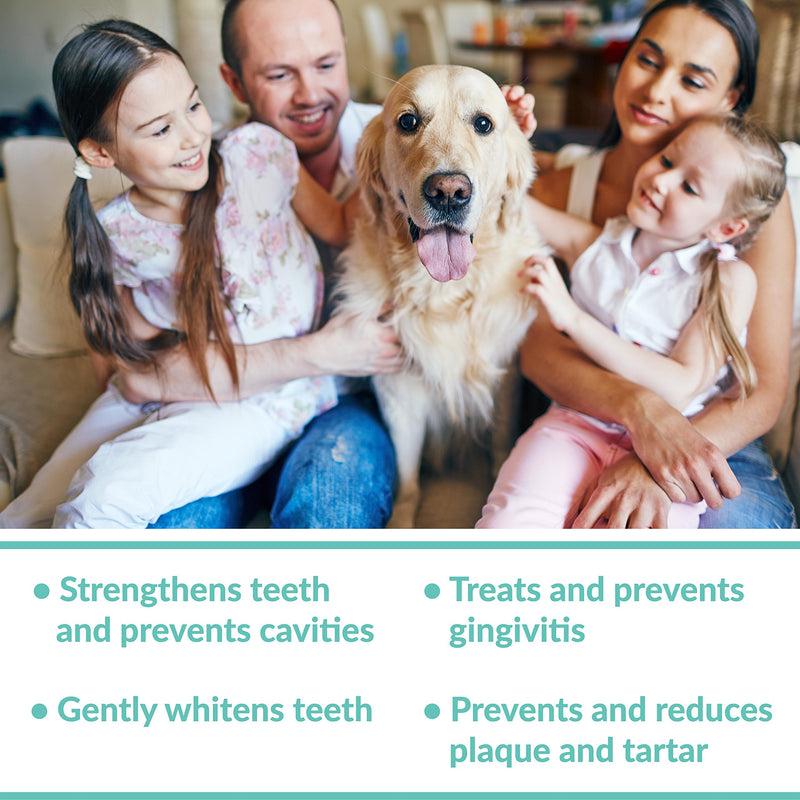 Dental Fresh Water Additive - Original Formula For Dogs - Clinicially Proven, Simply Add to Pet’s Water Bowl to Whiten Teeth, Eliminate Bad Breath, and Improve Oral Health (17 oz) - PawsPlanet Australia