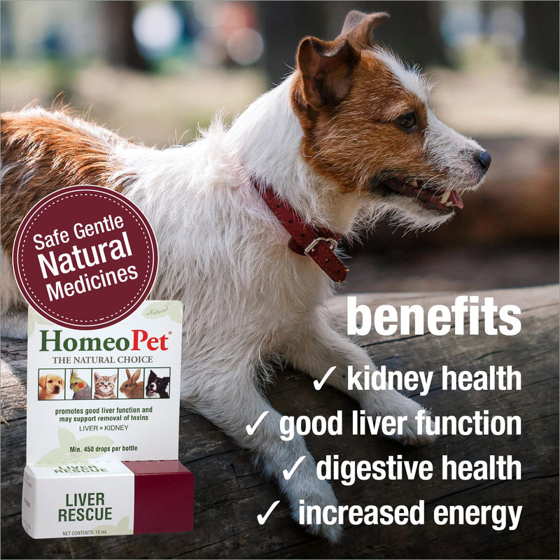 HomeoPet Liver Rescue, Natural Liver Support for Pets, 15 Milliliters - PawsPlanet Australia