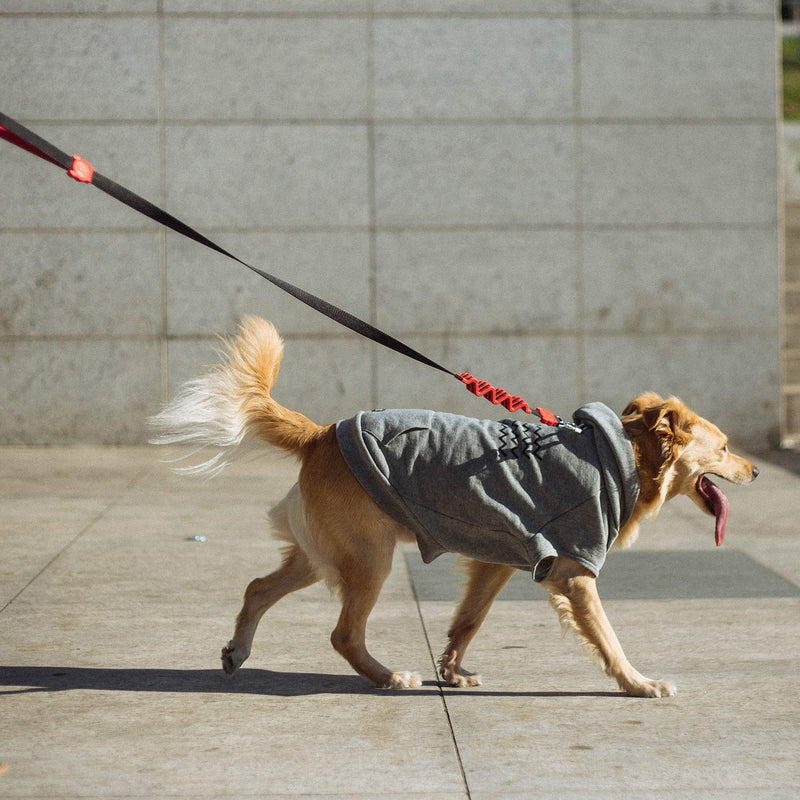 [Australia] - ZEE.DOG | Ruff Leash | Shock Absorbent Dog Leash | Soft Leash with Hook That Locks for Extra Safety Fatboy Small 