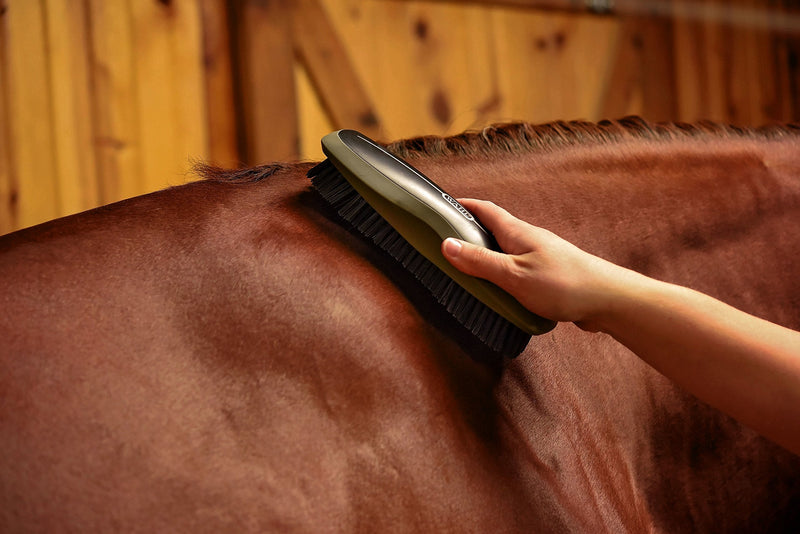 Wahl Professional Animal Equine Grooming Stiff Body Horse Brush Black - PawsPlanet Australia