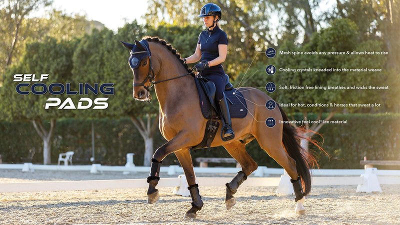 LeMieux Cooling Dressage Square Cool Blue L - PawsPlanet Australia