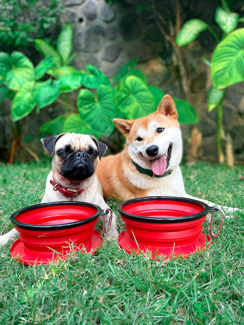 Tuff Pupper SuperBigSlurp - Collapsible Dog Bowls | Convenient Dog Travel Bowls w/Storage Lid | Keeps Pups Hydrated and Full | Portable Dog Water Bowls & Large Travel Bowls for Pets | Patent Pending Crimson Red L (40oz) x 2 - PawsPlanet Australia