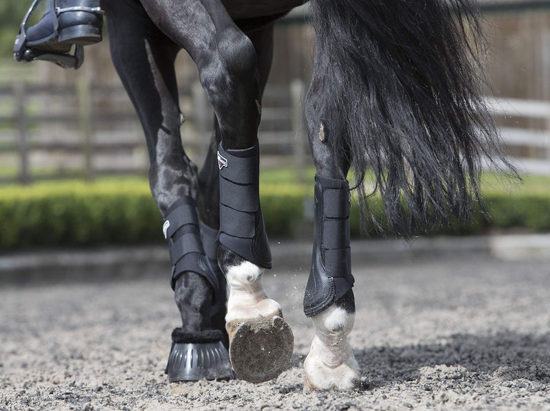 LeMieux Grafter Brushing Horse Boots for Schooling, Competition and Turnout - Front & Hind Legs - Equestrian Footwear Pair S Black - PawsPlanet Australia