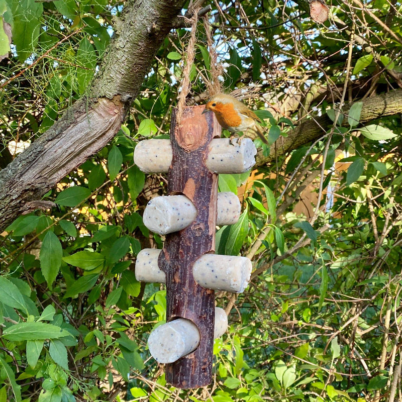 Wooden Suet Log Bird Feeder - Hanging Outdoor Feeders for Garden Birds, Suet Logs NOT included - Attracting Tits, Finches, Robins & many more Wild Birds Log Feeder - PawsPlanet Australia