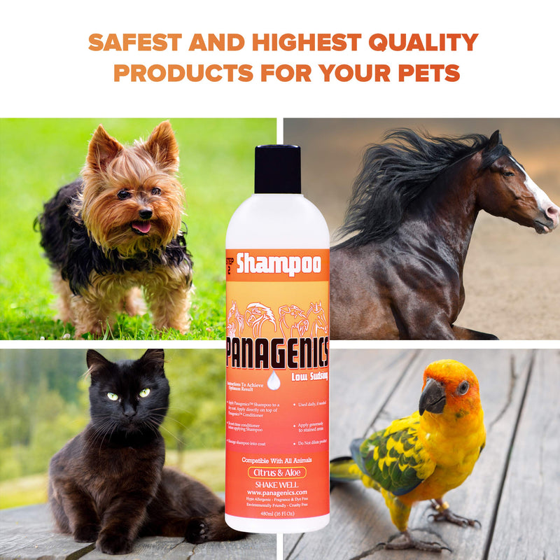[Australia] - Panagenics | Pet Shampoo - Safe for ALL animals, Unscented, Contains Citrus and Aloe Active Ingredients - 16 ounce bottle 