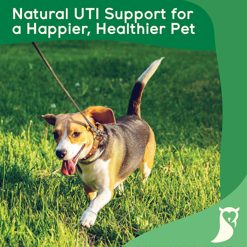 Bladder Support For Dogs and Cats - 120 Chicken Flavour Tablets - Urinary Tract Infection UTI and Cystitis Treatment - Contains D-Mannose, Cranberry, Marshmallow Root, Liquorice, Astragalus and Nettle - PawsPlanet Australia