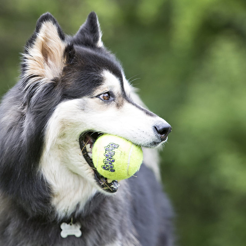 KONG - Squeakair Balls - Dog Toy Premium Squeak Tennis Balls, Gentle on Teethls - For X-Small Dogs (3 Pack) yellow - PawsPlanet Australia