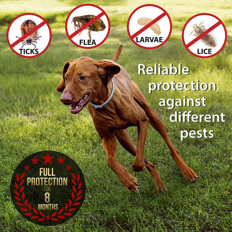 Flea And Tick Collar for Dogs, Waterproof, Anti Flea Collar Adjustable Natural & Safe, 8 Month Protection Efficiently Repellent Locust Life of Pets,Cat Non-Toxic Dog Flea Treatment [Upgrade Version] - PawsPlanet Australia