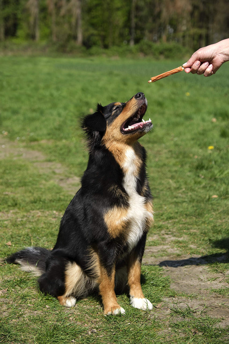 8in1 Triple Flavor Wings Chew Snack 6 Pieces Wrapped with Chicken Fillet, 1 Pack (113 g) Ribs - PawsPlanet Australia