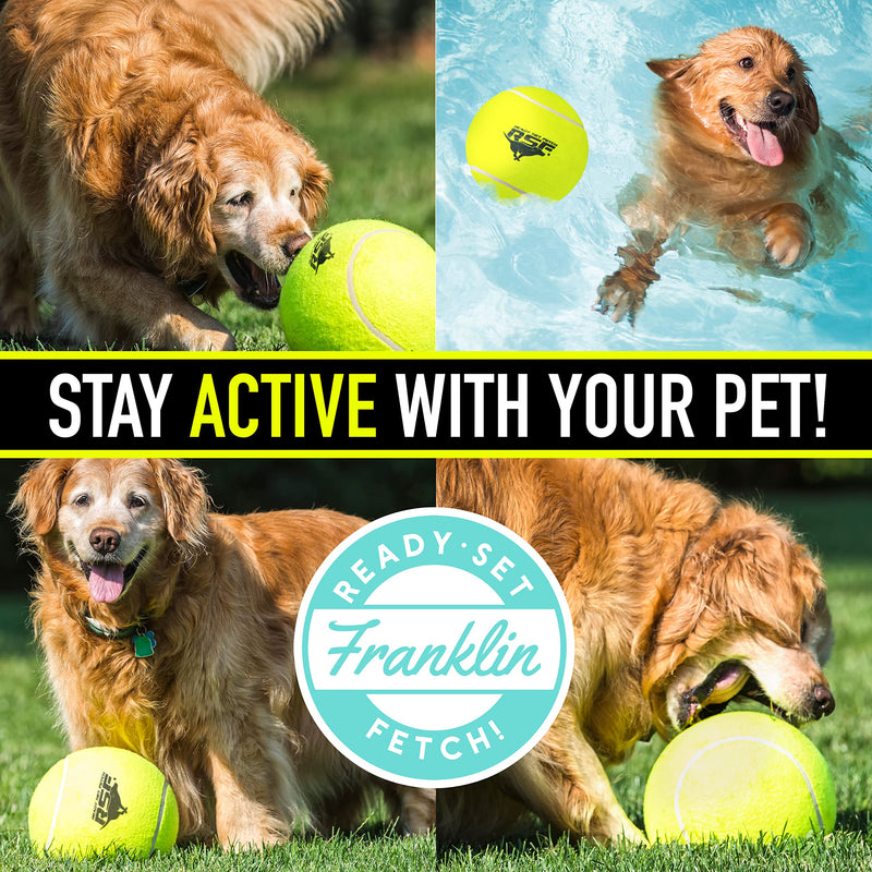Franklin Pet Supply Ready Set Fetch Squeak Tennis Balls - Dog Toy Squeaks When Squeezed - Multi-Packs - for Small - Medium - Large Dogs - Dog Balls - Squeaker Noise 1 Pack - Oversize - No Squeak - PawsPlanet Australia