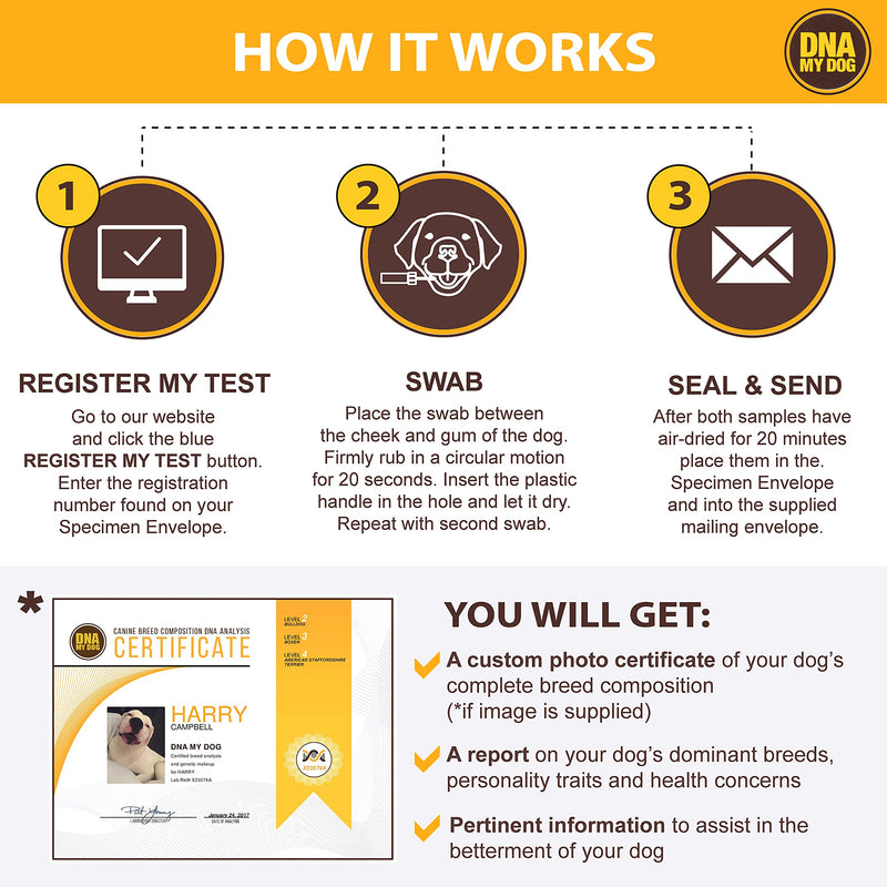 DNA My Dog Canine Breed Identification Test - PawsPlanet Australia