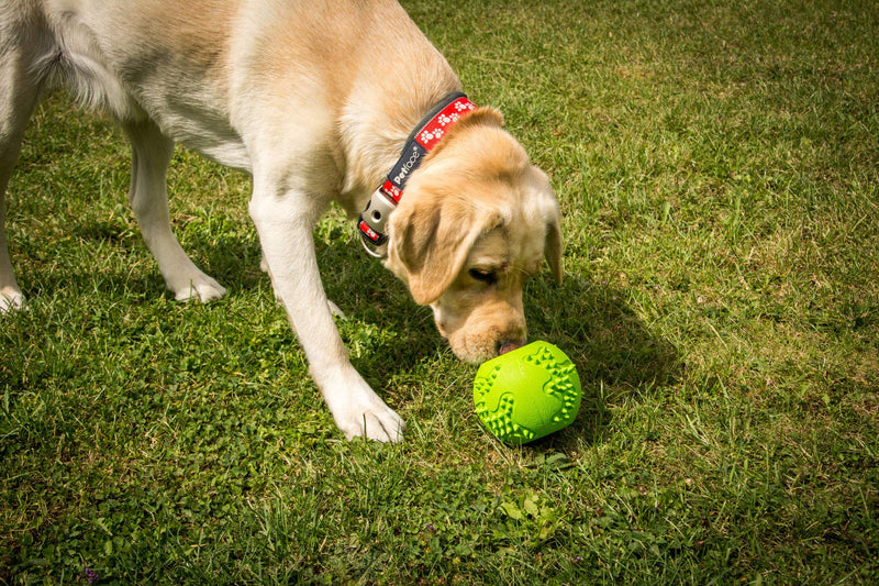 Toyz by Petface Treat Ball, 9 cm Green medium - PawsPlanet Australia