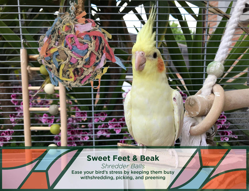 Sweet Feet and Beak Super Shredder Ball - Bird Cage Accessories to Keep Your Bird Busy Foraging for Hidden Treasures - Non-Toxic, Easy to Install Bird Foraging Toys, Bird Treats, Parrot Toys 3 inch - PawsPlanet Australia
