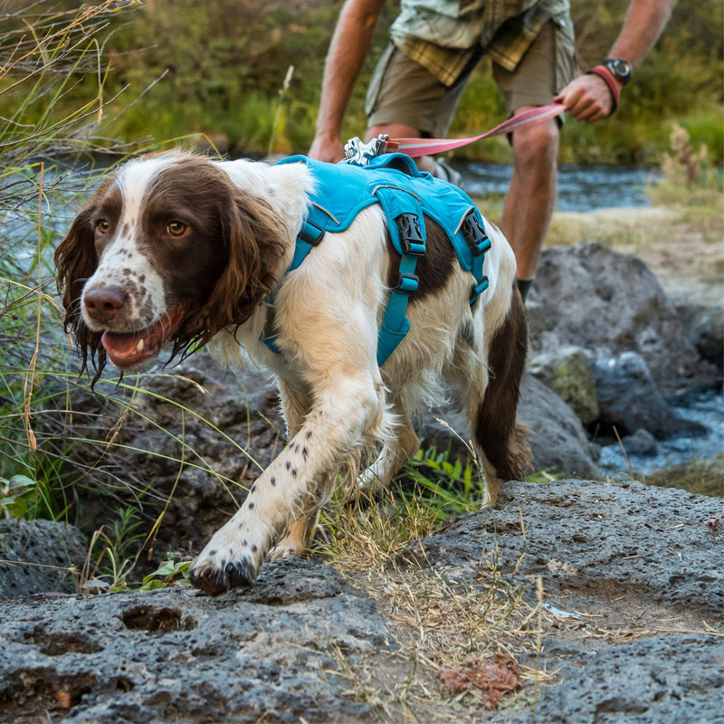 RUFFWEAR, Web Master, Multi-Use Support Dog Harness, Hiking and Trail Running, Service and Working, Everyday Wear Blue Dusk XX-Small - PawsPlanet Australia