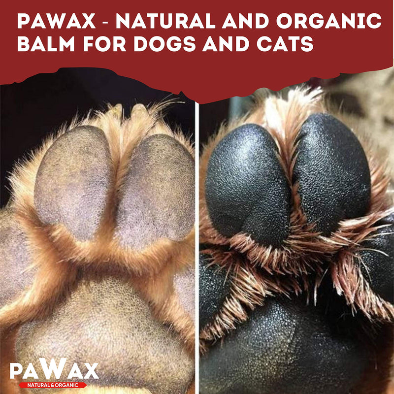 Bruno May PAW Wax Natural and Organic Protect and Heal 3-in-1 for Dogs and Cats PET Balm Veterinary Approved with Carnauba Wax, Vitamin E, Aloe 2 oz - PawsPlanet Australia