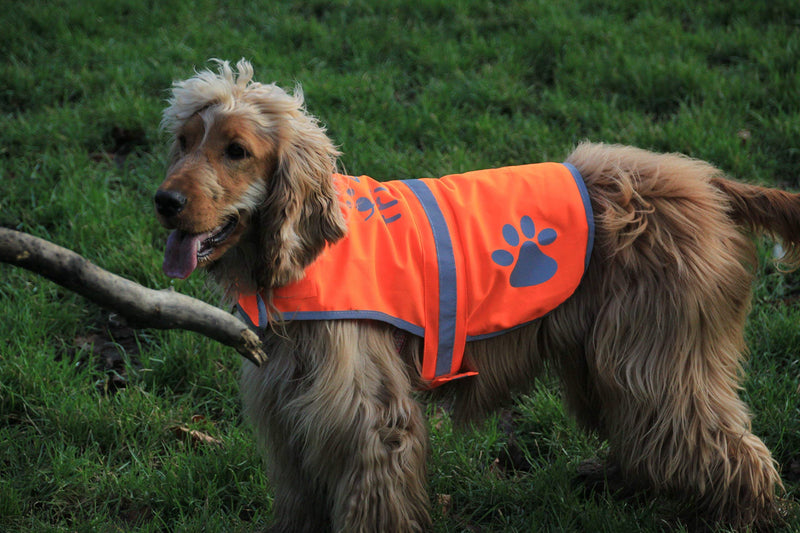 [Australia] - Dog Safety Reflective Vest 5 Sizes to fit dogs 10 lbs -130 lbs : High Visibility for Outdoor Activity Day and Night, Keep Your Dog Visible, Safe From Cars & Hunting Accidents | Blaze Orange vest X-Small 