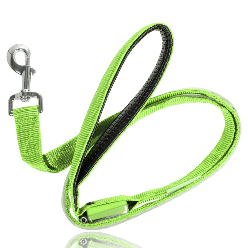 Illumiseen LED Dog Leash - USB Rechargeable - Available in 6 Colors & 2 Sizes - Makes Your Dog Visible, Safe & Seen 6 Feet Neon Green - PawsPlanet Australia