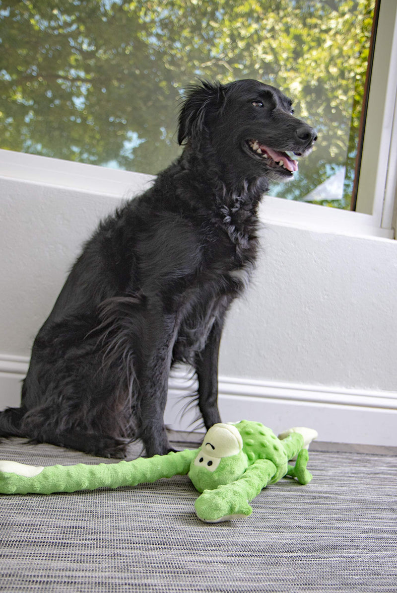 [Australia] - goDog Crazy Tugs with Chew Guard Technology Durable Plush Dog Toys with Squeakers Lime Large Monkey 