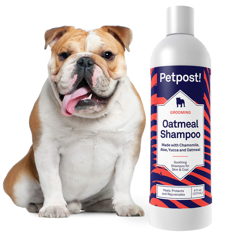 [Australia] - Petpost | Oatmeal & Chamomile Shampoo for Dogs with Dry Skin - Naturally Heals, Protects, Rejuvenates Dog Skin & Coat - Oatmeal, Chamomile, Aloe & Yucca Formula 8 Ounce 