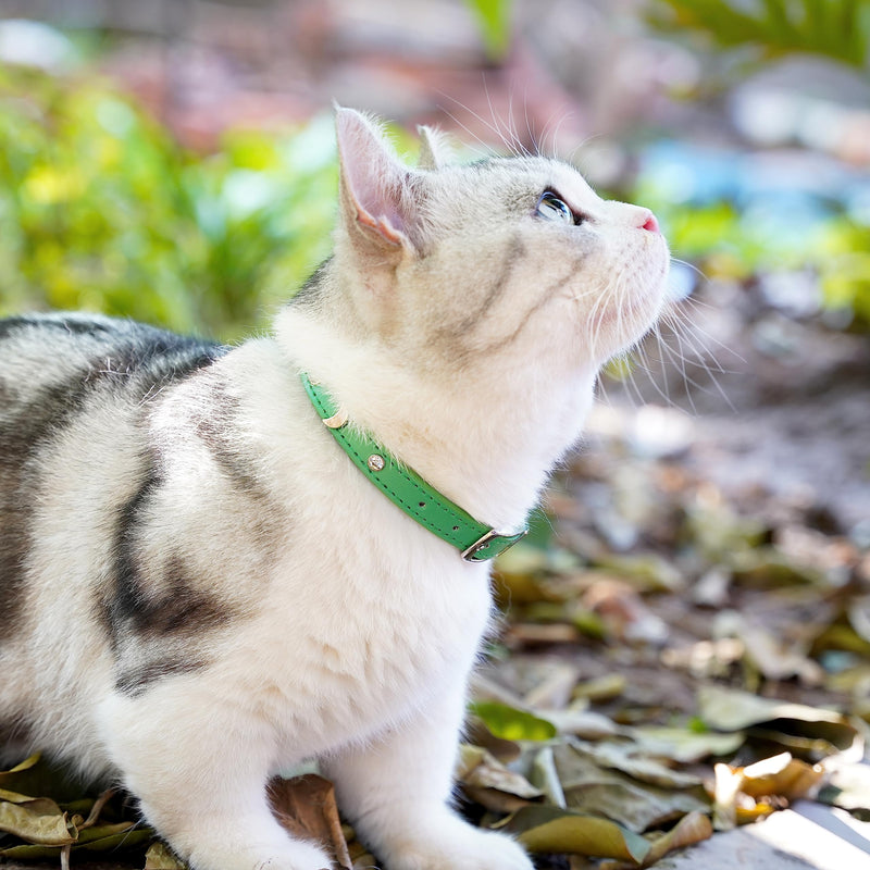 DAIHAQIKO Leather Cat Collar with Bell Cat Collar with Diamond Star Moon Green - PawsPlanet Australia