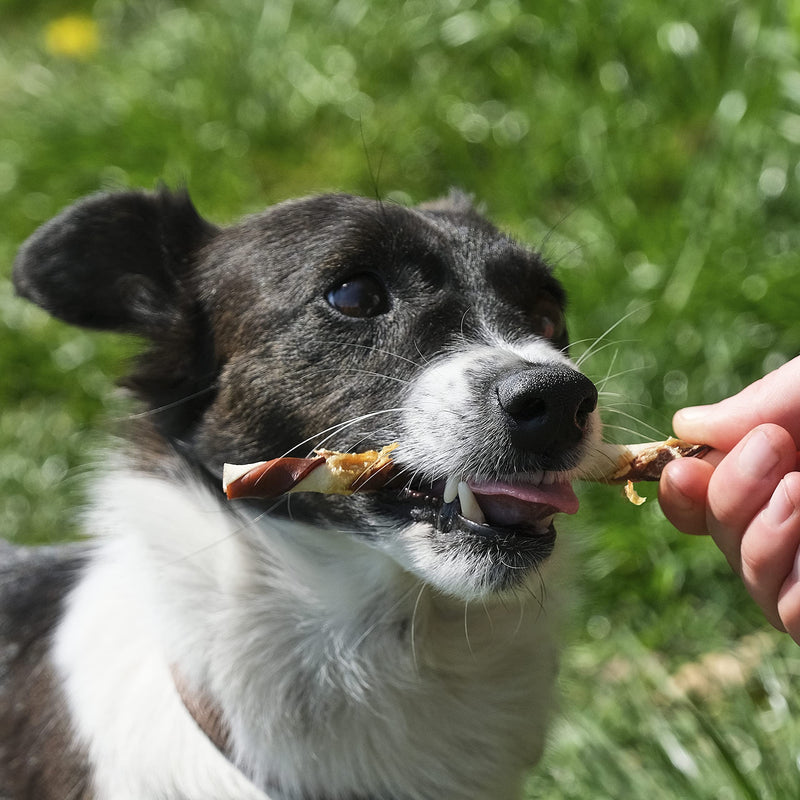 8in1 Triple Flavor Twisted Sticks - delicious chewing sticks with chicken fillet, pork and beef skin, 10 pieces (pack of 1) - PawsPlanet Australia