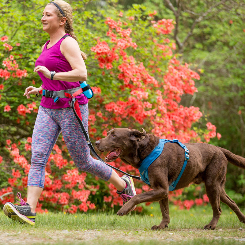 [Australia] - Kurgo K9 Excursion Belt | Adjustable Dog Running Belt with Poop Bags Dispenser | Running Dog Leash Belt | Hands Free Reflective Running Belt | for Running, Walking, Hiking | Comes with Leash Clips 