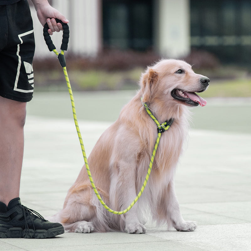 iYoShop 6 FT Durable Slip Lead Dog Leash with Zipper Pouch, Padded Handle and Highly Reflective Threads, Dog Training Leash, Medium (3/8" x 6FT, 8-35 lbs) | Large (1/2" x 6FT, 35-150 lbs) Green - PawsPlanet Australia