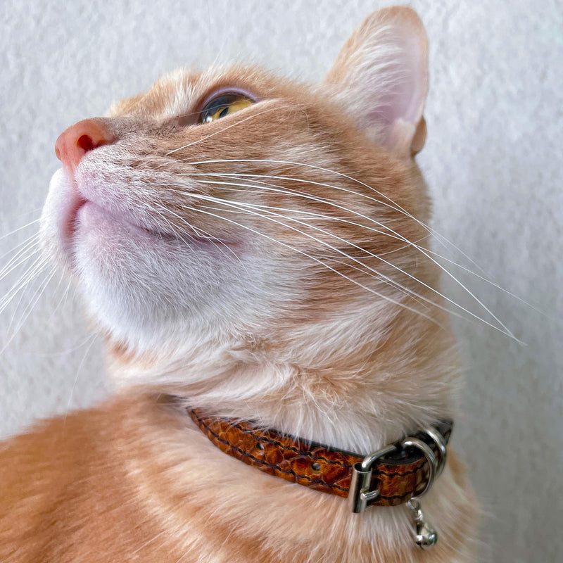 FAVPET Luxury cat collars leather, handmade cat collar with bell, genuine leather cat collar with metal buckle, designer cat collar made of leather, cat collar with bell (brown) brown - PawsPlanet Australia