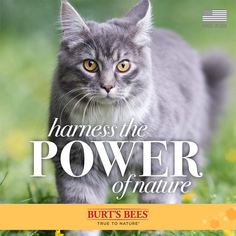 Combo Pack: Burt's Bees for Cats Hypoallergenic Shampoo with Shea Butter and Honey and Dander Reducing Grooming Wipes | Cruelty Free, Sulfate & Paraben Free, pH Balanced for Cats - Made in The USA - PawsPlanet Australia