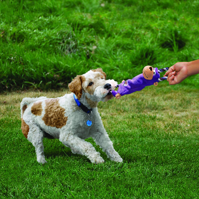 KONG - Tugger Knots Moose - Tug of War Dog Toy, Minimal Stuffing and Looped Ropes for added Strength - For Medium/Large Dogs - PawsPlanet Australia