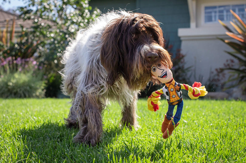 Hyper Pet Disney Toy Story 4 Interactive Dog Toys, Rope Toys, Squeaky Dog Toys & Dog Frisbee [Flying Disc Dog Fetch Toy, Dog Chew Toys, Flying Disc Dot Fetch Toy, Dog Tug Toy Squeaky Dog Toys Woody - PawsPlanet Australia