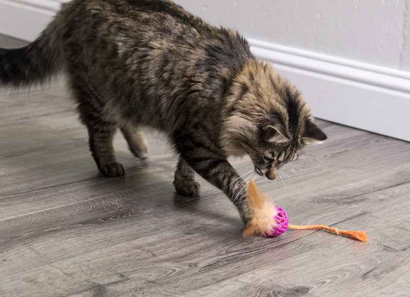 [Australia] - SmartyKat Catnip and Feather Cat Toys Feather Chase 