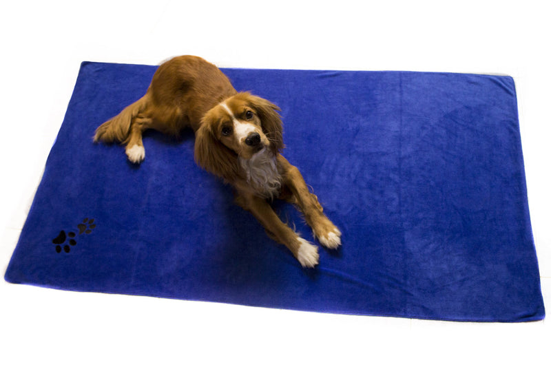 Immaculate Textiles - XL Premium Microfibre Pet Dog Towel Set - 150x80cm & 40x30cm : Super Absorbent - Quick Drying - Extra Soft - PawsPlanet Australia