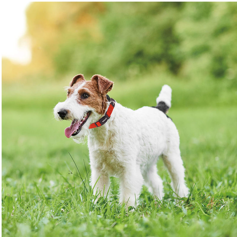 [Australia] - Kruz PET Breathable Mesh Dog Collar Red Small 