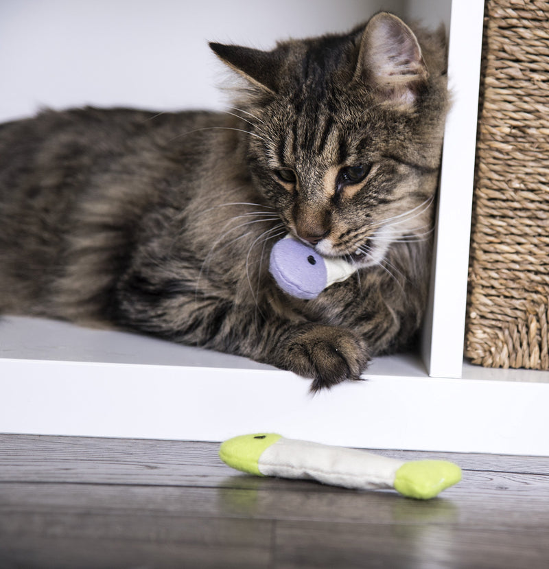 SmartyKat Fish Flop Cat Catnip Crinkle Toys Fish Flop™ Set of 3 Crinkle Catnip Toys - PawsPlanet Australia