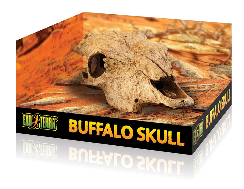 Exo Terra Terrarium Decor Buffalo Skull - PawsPlanet Australia
