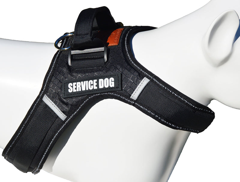 [Australia] - ALBCORP Service Dog Vest Harness - Extra Emotional Support Patches - Woven Nylon, Neoprene Handle, Adjustable Straps, Comfy Mesh Padding, and 2 Hook and Loop Removable Patches. Red/Black/Gray/Blue XL: Chest(24.5"-36") Neck(21"-30") Black 