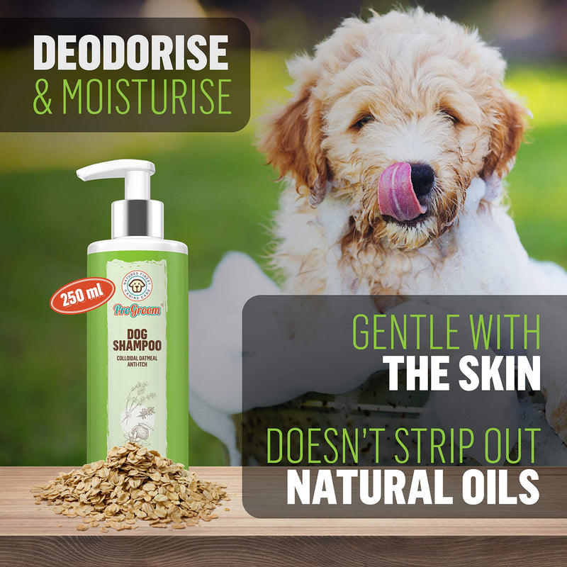 ProGroom Oatmeal Dog Shampoo - Vegan, Organic, Natural Puppy Shampoo - Sensitive Deshedding Shampoo for Dry Itchy Skin - PawsPlanet Australia