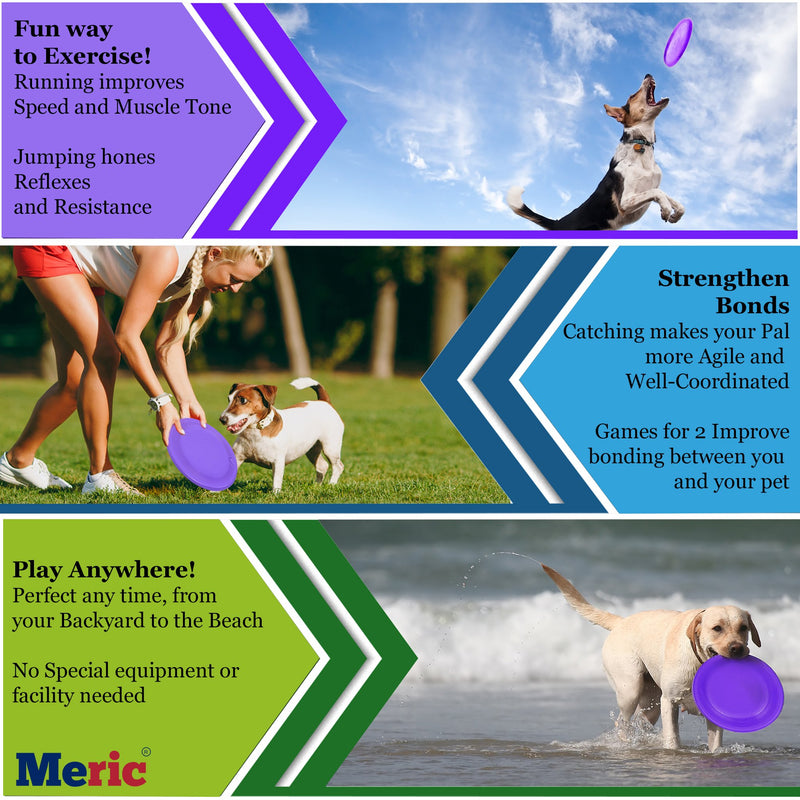 Dog Frisbee - Violet Flying Disc - Lightweight & Waterproof Plastic - Aerodynamically Designed Fast Flying Object - for Use in Land, Water & Air - Interactive Toy for Small, Medium & Large Pets - PawsPlanet Australia