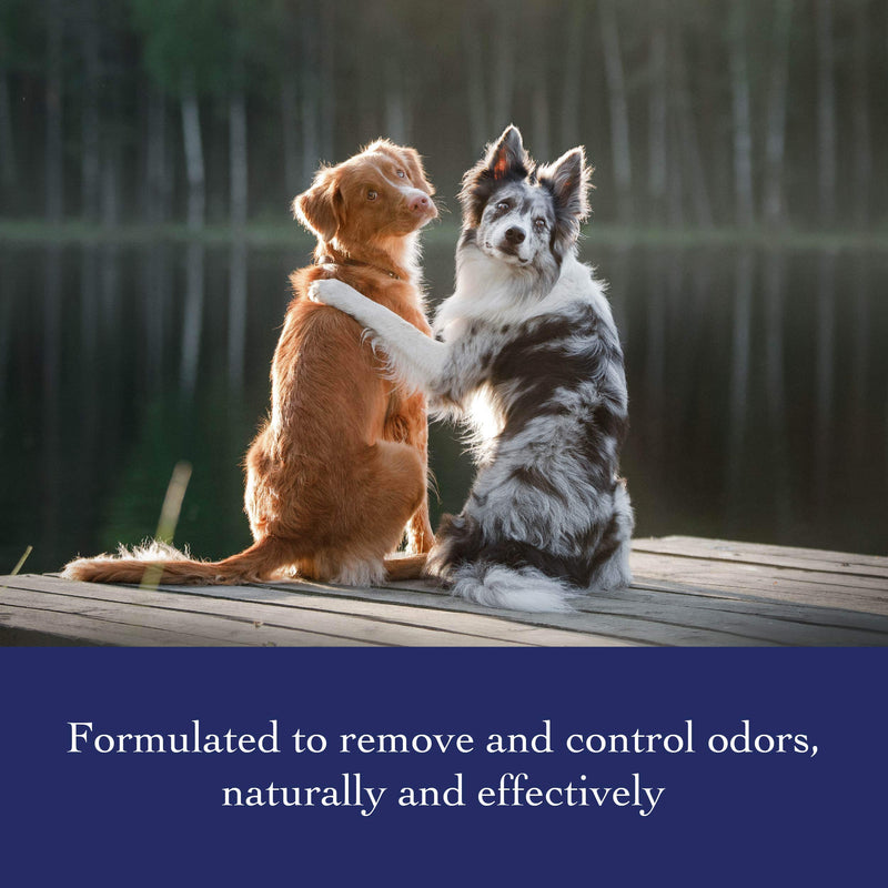 [Australia] - Richard’s Organics Deodorizing Shampoo for Dogs, 12 oz. – With Baking Soda, Aloe Vera, Zinc, and More to Remove and Control Odors – Naturally Gentle, Safe 