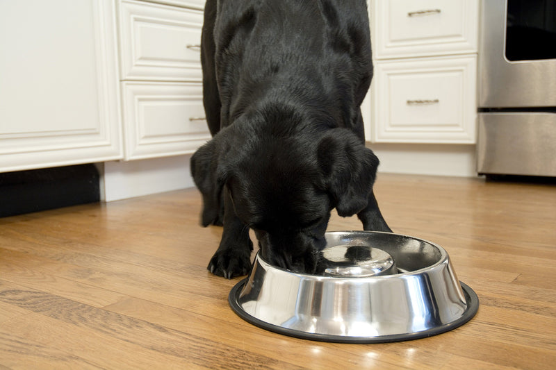 [Australia] - Iconic Pet Set of 2 Stainless Steel Anti-Skid Slow Feed Pet Bowl for Dogs Medium 