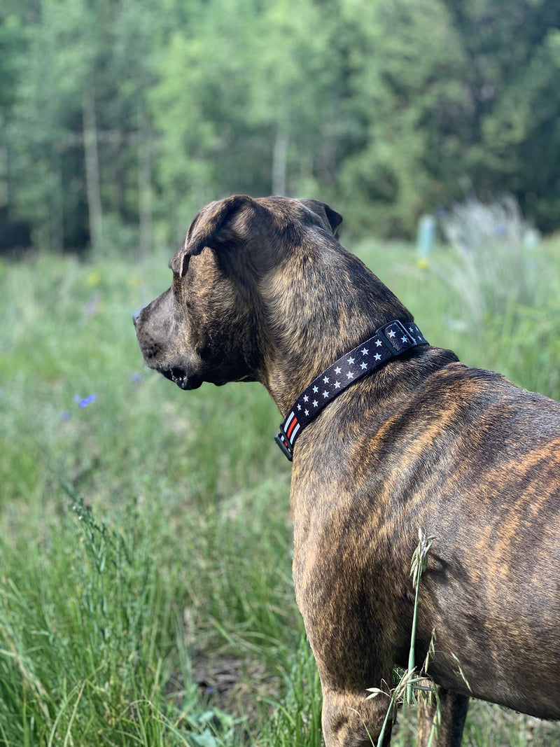 [Australia] - Native Pup Thin Red Line Dog Collar- Stars Large 