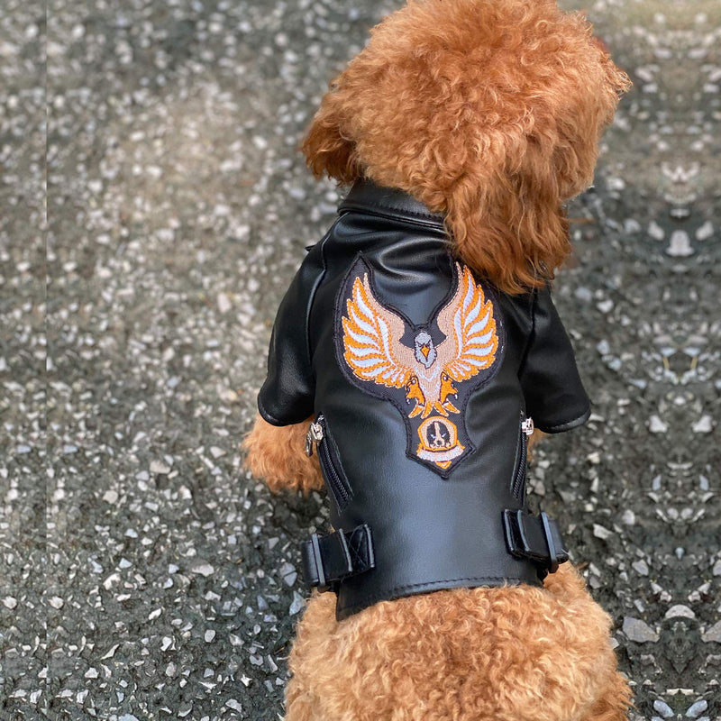 Lovelonglong Cool Dog Leather Jacket, Warm Coats Dogs Windproof Cold Weather Coats for Large Medium Small Dogs With Eagle Embroidery Black XS XS (Mini Dog ~4 Lbs) Black-Eagle - PawsPlanet Australia