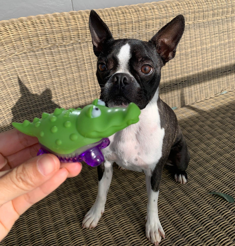 AVANZONA Dog Toys, Puppy Toys, TPR Dog Chew Toy 10 cm, Fun Squeaky Alligator Chewable Durable and Flexible, Clean teeth for puppy and small dogs. - PawsPlanet Australia